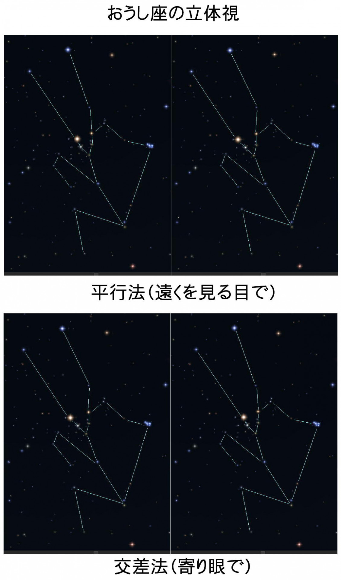 立体視　おうし座　オリオン座　平行法交差法　星座線